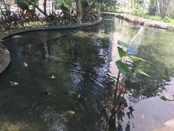 Water Place (D15), Condominium #142868402